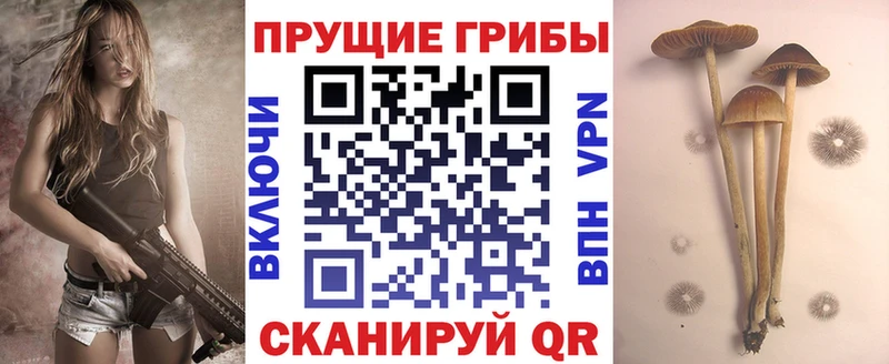 Галлюциногенные грибы Magic Shrooms Находка